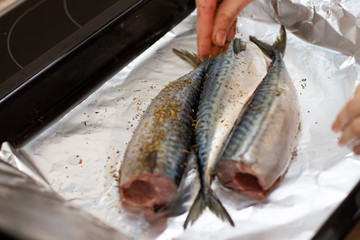 cooking mackerel in spices