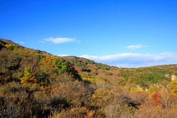 mountain natural scenery