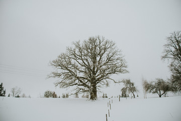 Place in Latvia called Kvepene