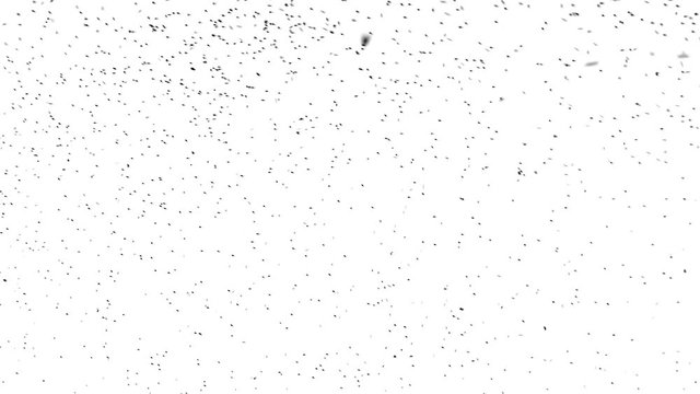 Mosquitoes in the sky