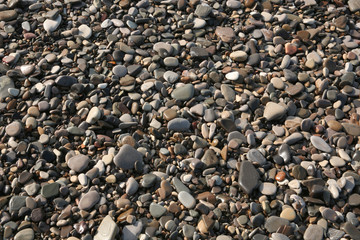 pebbles on the beach on the Black Sea