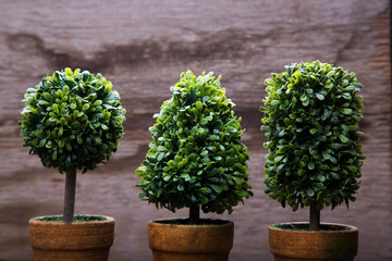 Toy trees in pots