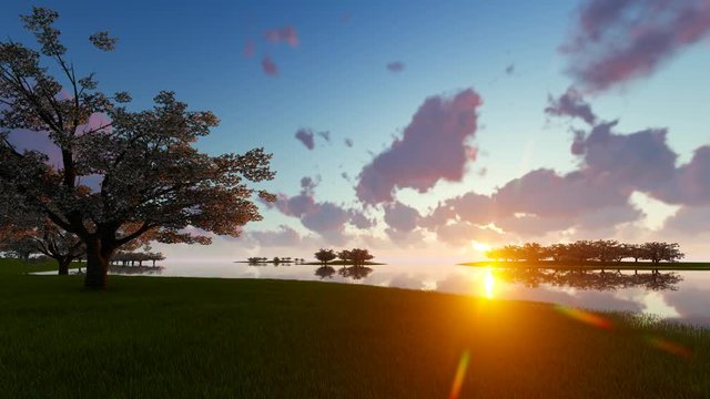 Sunrise Spring landscape with cherry blossom intro for your video