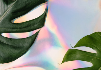 Iridescent background. Holographic Abstract soft pastel colors backdrop with monstera tropic leaves. Minimal concept.