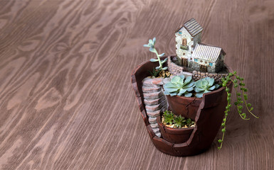 Succulents in a decorative pot with a small house. Home decor.