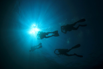 Fototapeta na wymiar Scuba diving, coral reef and fish 