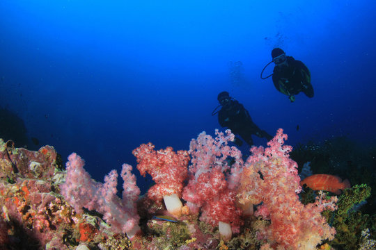 Scuba diving on coral reef 