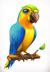 Little parrot cartoon character. Funny animal, 3d vector icon © Natis