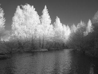 Infra red photography IR photo