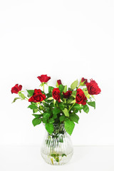 Red roses on white background copy space