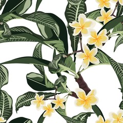 Obraz premium Tropical seamless pattern with white plumeria flowers branch and leaves. Background with Hawaiian flowers and plants on white backdrop. 