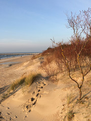 sea coast in the setting sun
