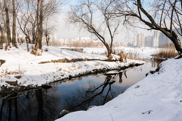 winter landscape with river and trees