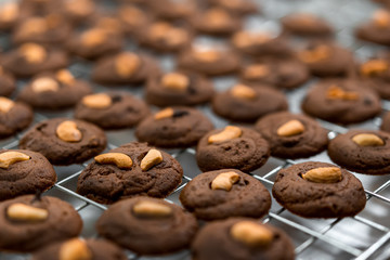 Chocolate Cookie with cashew nut  on a Tray