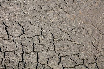 Parched soil