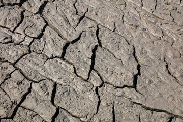 Parched soil