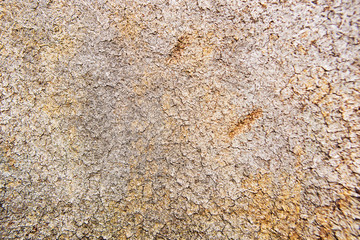 Old background - texture