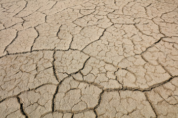 Arid cracked land