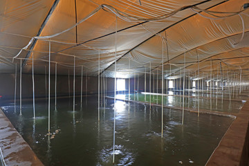 Mariculture pond in China