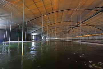 Mariculture pond in China