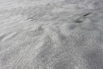  The surface of the lake is covered with ice