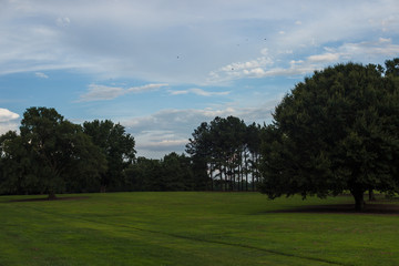 Fototapeta na wymiar Park with a smooth green lawn, beautiful trees and picturesque clouds. Beautiful clouds in the sky over the summer forest. Landscaping. Park Milliken Arboretum, Spartanburg, South Carolina, USA
