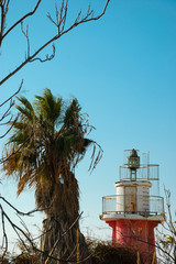 Old lighthouse of Jaffa port and flying bird. Tel Aviv (Israel). 