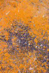 Stone background orange texture, abstract formation of mineral rock in marine environment
