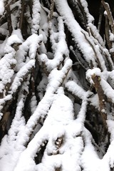 tas de bois sous la neige