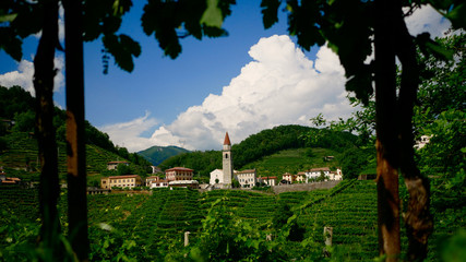 View of the green Prosecco wine hill and blue sky in background - Rolle - Cison di Valmarino - Strada del Prosecco - Chiesa dei Santi Giacomo e Filippo - Borgo tutelato dal FAI