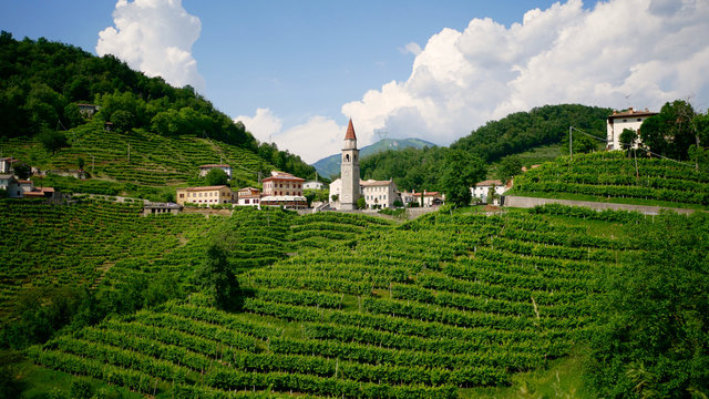 View of the green Prosecco wine hill and blue sky in background - Rolle - Cison di Valmarino - Strada del Prosecco - Chiesa dei Santi Giacomo e Filippo - Borgo tutelato dal FAI