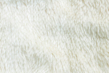 Texture of fur of wild animals background. Line wool floor with white light.