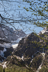 Beautiful nature landscape in the Alps.Colorful morning view of the Bavarian Alps on the border of Austria, Germany, Europe.