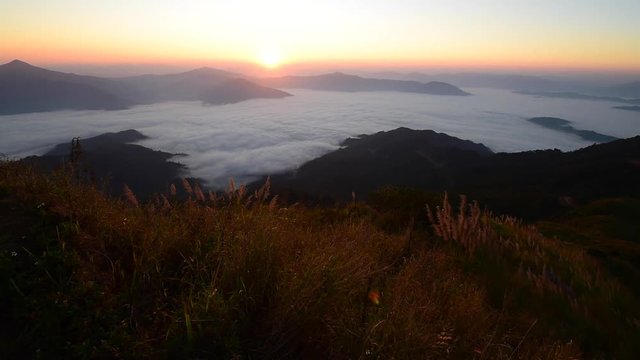 Beautiful landscape for seeing the mist at Doi Pha Tang, Chaingrai province is a famous tourist destination in northern Thailand.