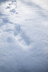 snow structure, snow texture with footsteps in the sun and depth of fields