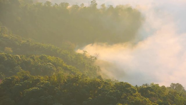 Morning fog flooded the hill