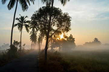 Sunrise in Gokarna, India - obrazy, fototapety, plakaty