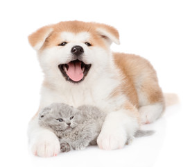 Happy Akita inu puppy hugging tiny kitten. isolated on white background