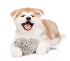 Obraz premium Happy Akita inu puppy hugging tiny kitten. isolated on white background