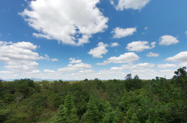 Obraz premium White clouds in the sky on the tropical forest