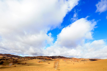 Fototapeta na wymiar sights of the Ulan prairie in Inner Mongolia, China