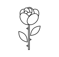 Vector of rose icon