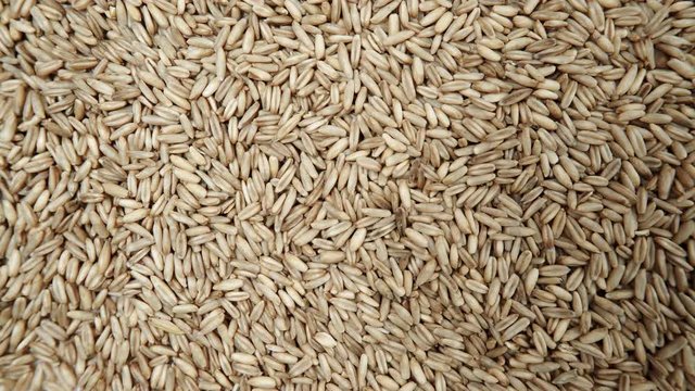 Oat seeds as natural food background. Top view. Healthy diet organic nutrition