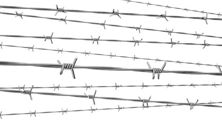 Barbed wire rows isolated on a white background. 3d render