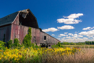 Barn on sunny day