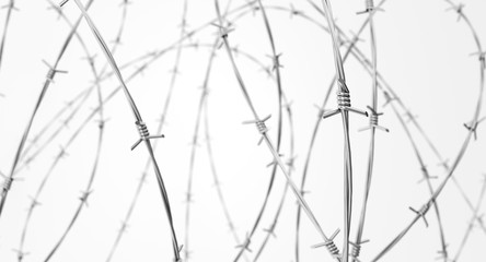 Barbed wire fence with dof effect on a white background. 3d render