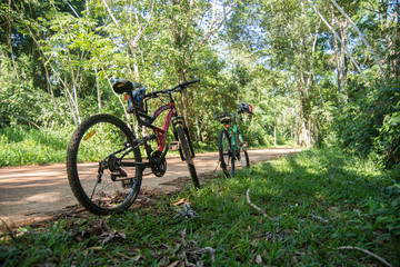  bicycling in the jungle