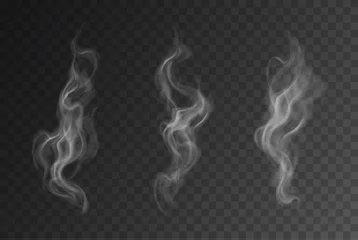 Zelfklevend Fotobehang Vector realistic smoke or steam set isolated on dark background © Kateina