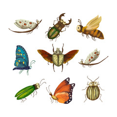 Vector Icon set with cute 3d insect.