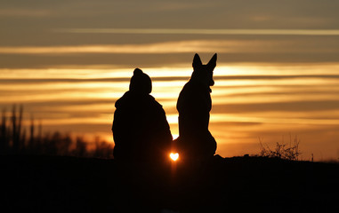 Fototapeta na wymiar Boy and dog breed Belgian Shepherd Malinois on sunset background